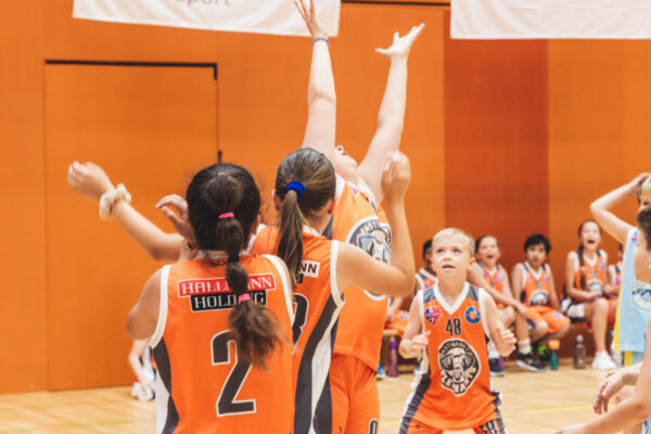 Basket2024-103
