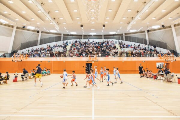 Basket2024-111