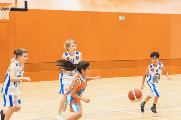 Basket2024-112