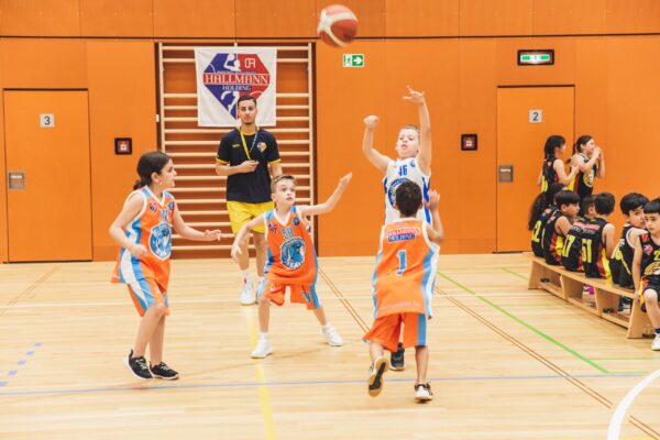 Basket2024-115