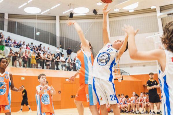 Basket2024-118