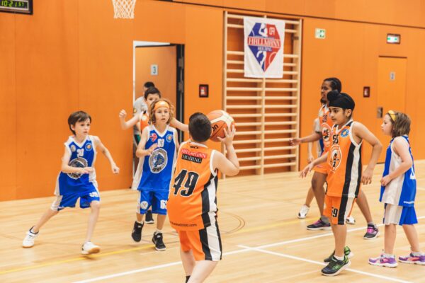 Basket2024-135