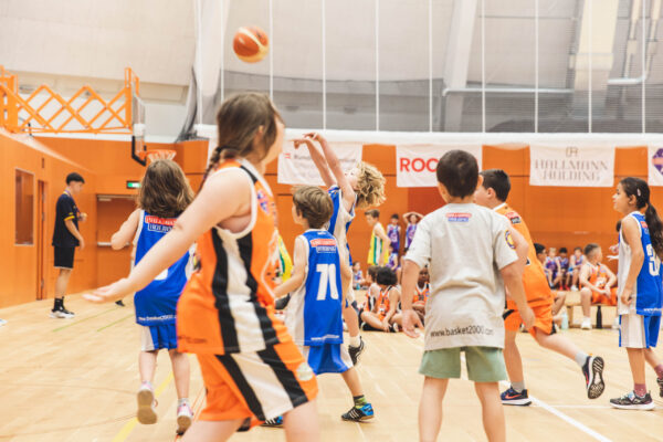 Basket2024-143