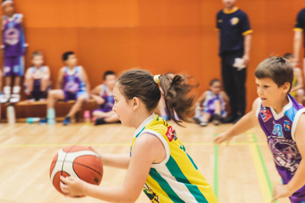 Basket2024-150