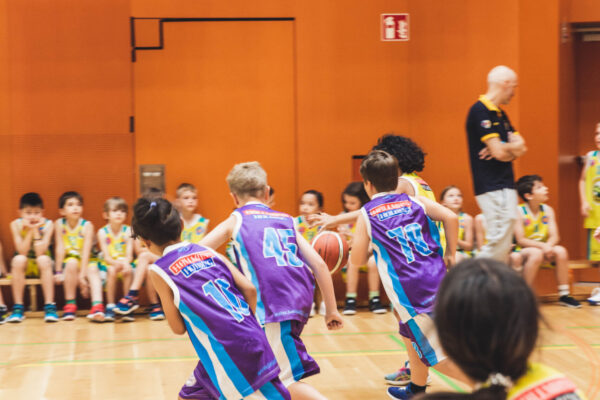 Basket2024-153
