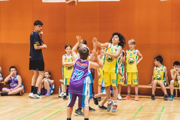Basket2024-154
