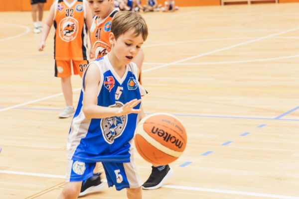 Basket2024-160