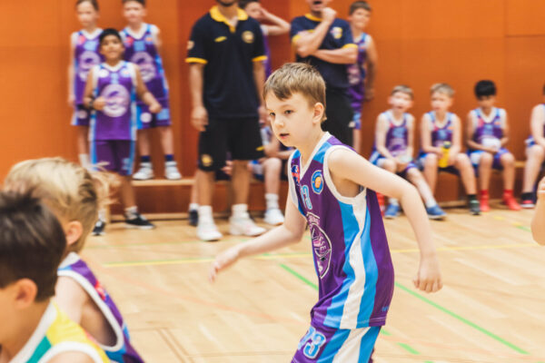 Basket2024-168