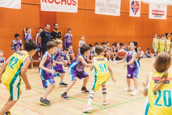 Basket2024-170