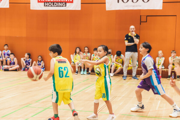 Basket2024-171