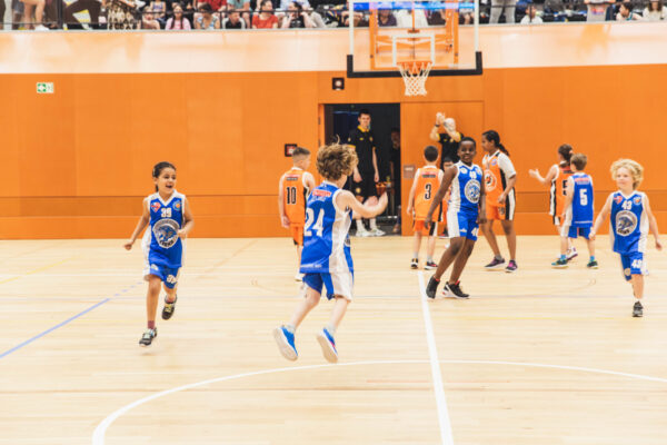 Basket2024-174