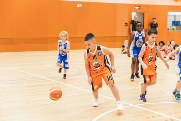 Basket2024-175