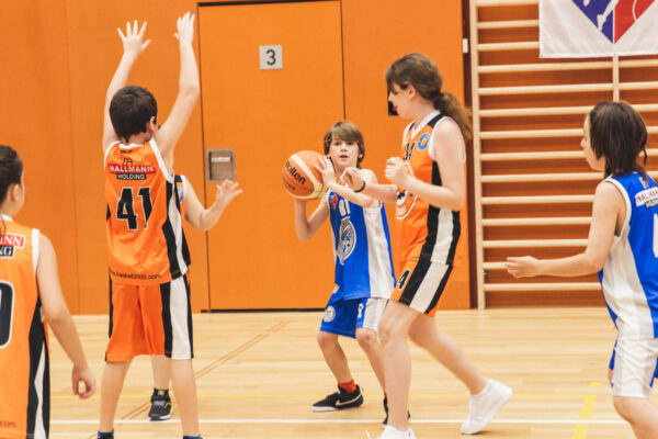 Basket2024-181