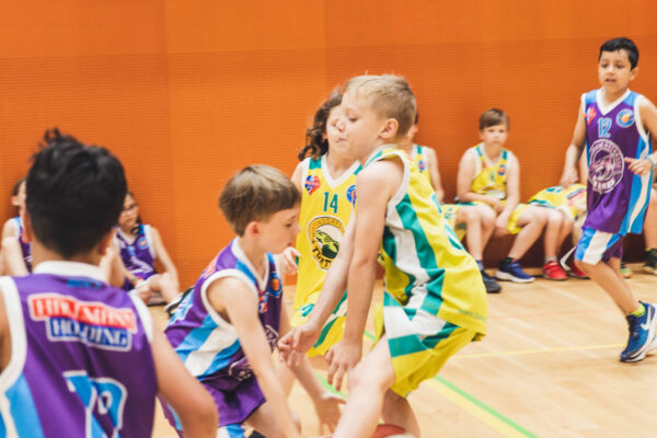 Basket2024-183