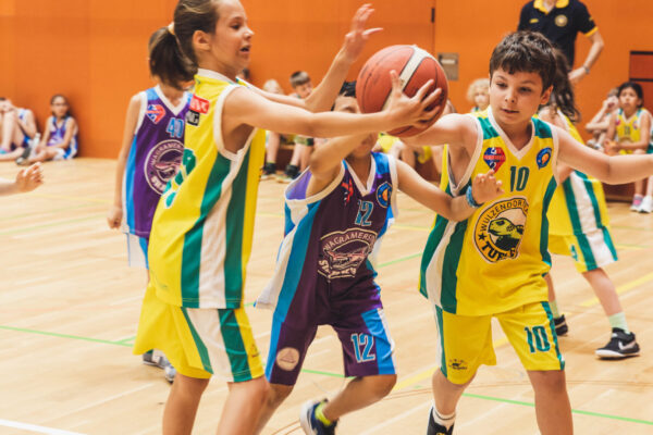 Basket2024-185