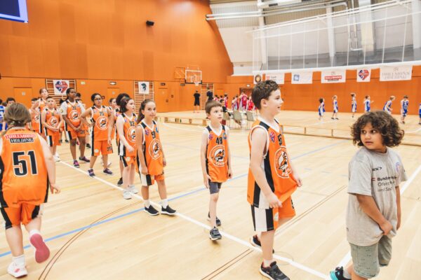 Basket2024-195