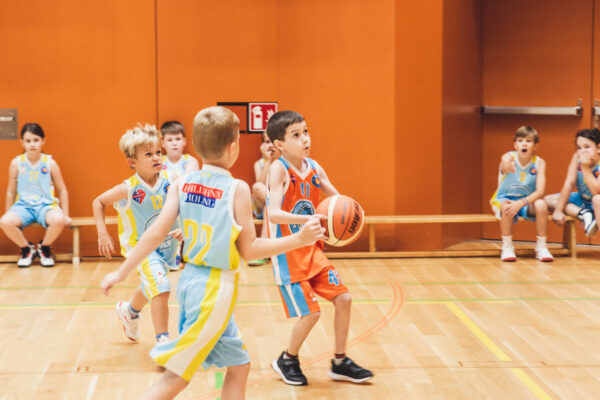 Basket2024-210