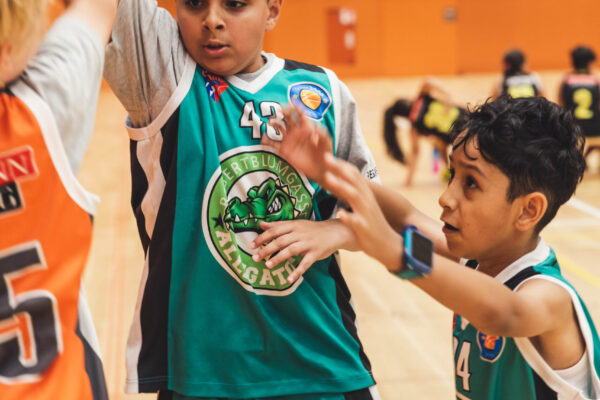 Basket2024-211