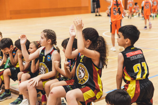 Basket2024-212