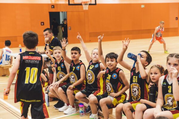 Basket2024-213