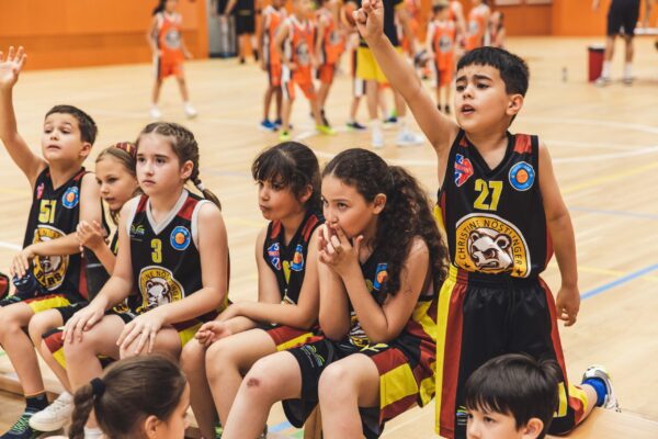 Basket2024-214