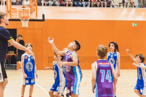Basket2024-219