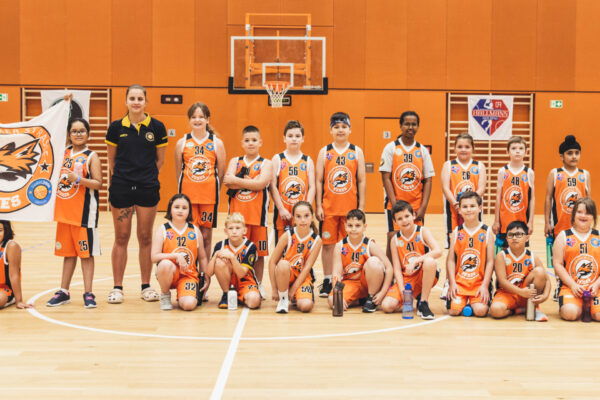 Basket2024-22