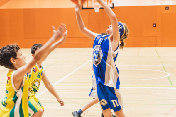 Basket2024-220