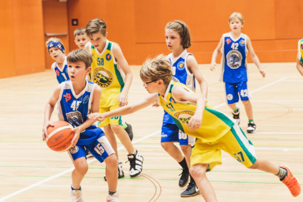 Basket2024-221