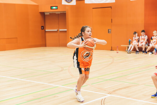Basket2024-227