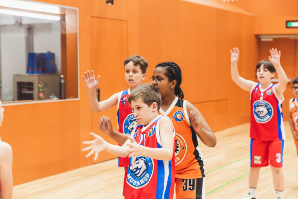 Basket2024-243