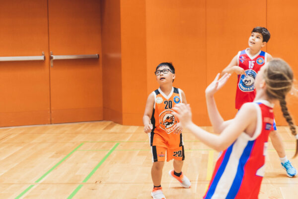 Basket2024-244