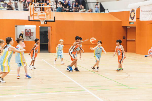 Basket2024-25