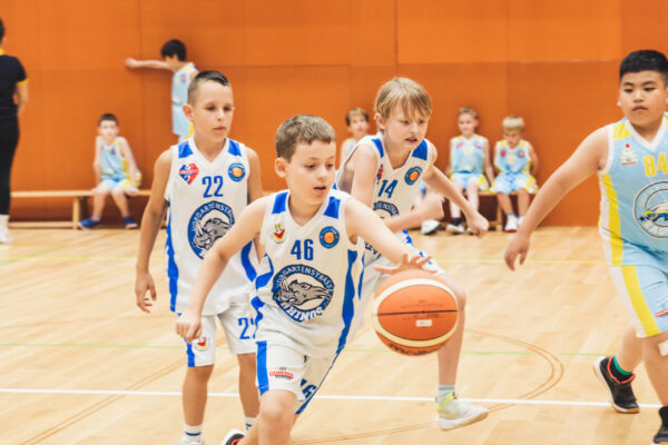Basket2024-256