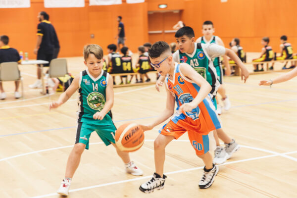 Basket2024-261
