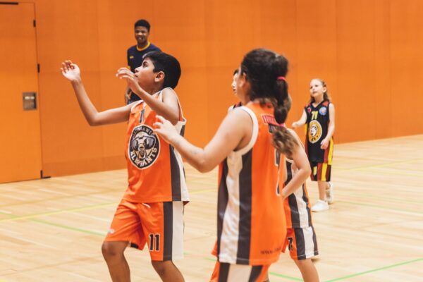 Basket2024-265