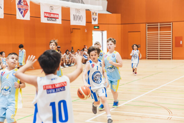Basket2024-269