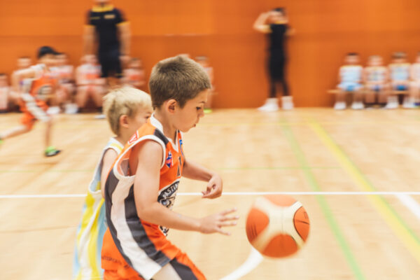 Basket2024-27