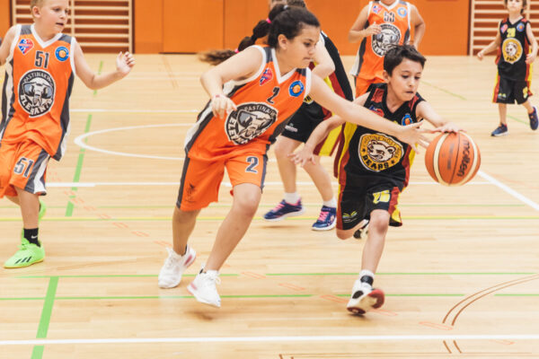 Basket2024-271