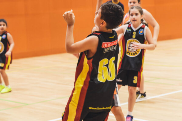 Basket2024-273