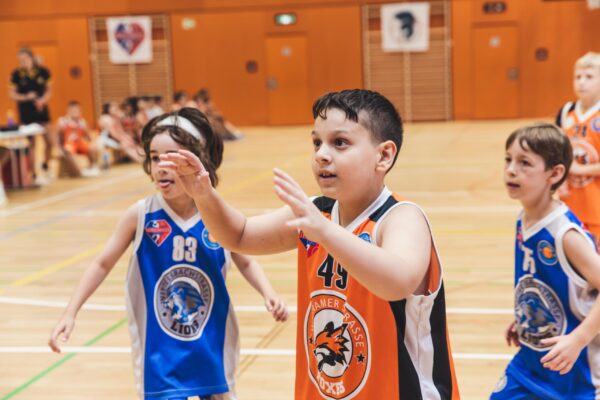 Basket2024-279