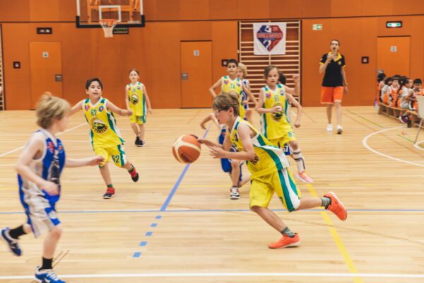 Basket2024-280
