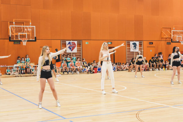Basket2024-310