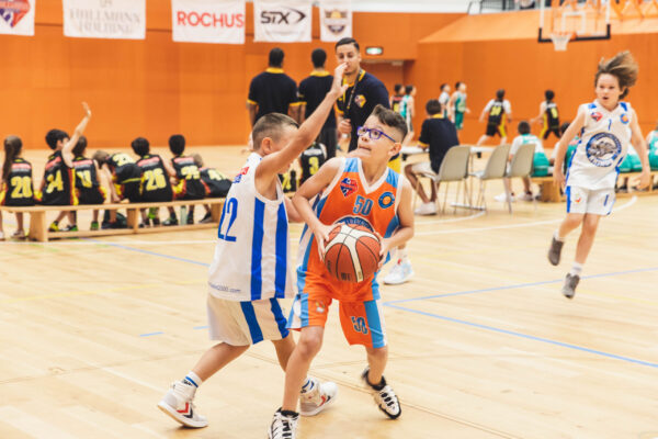 Basket2024-32