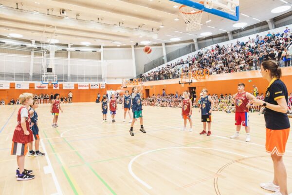 Basket2024-330
