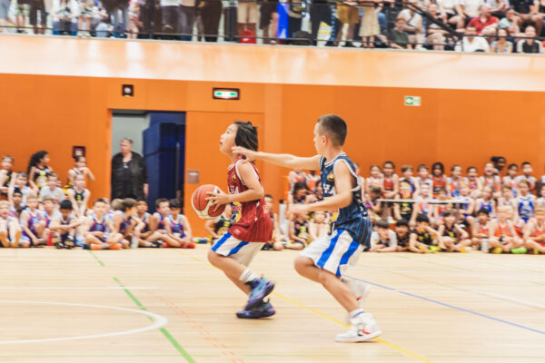 Basket2024-332