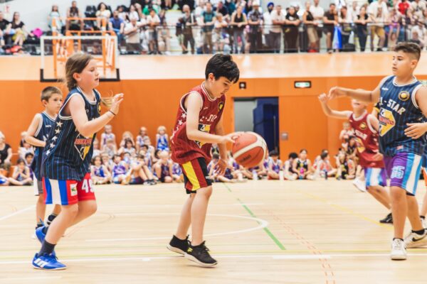 Basket2024-336