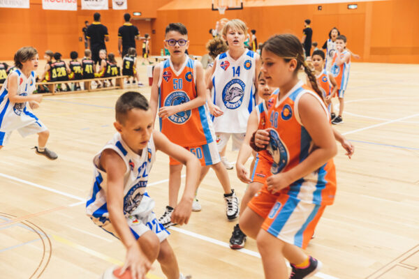 Basket2024-34