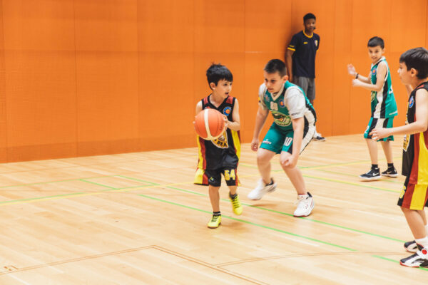Basket2024-48