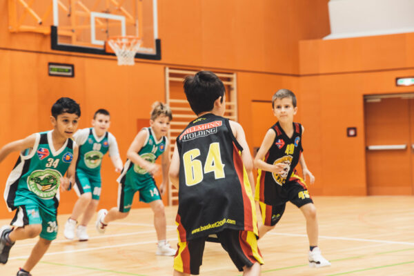 Basket2024-50